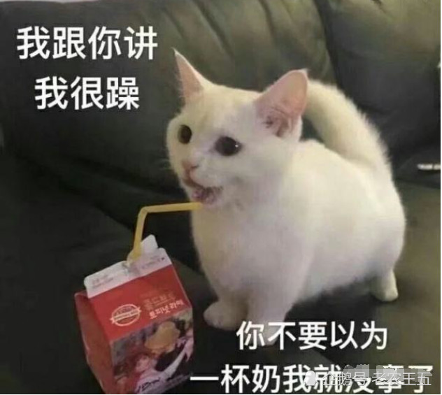 就连生气都是奶凶奶凶的,不过还真是一个小吃货,嘴上还在是生气,可是