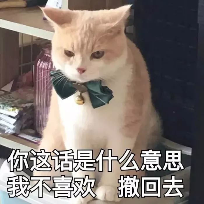 猫咪表情包:猫咪一卖萌,心都被苏化了,太可爱了!