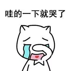 哇的一下就哭了
