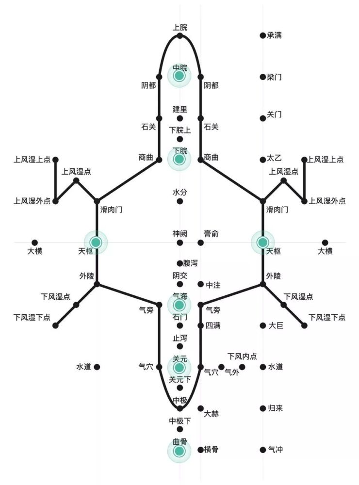 人体在腹部的全息影像酷似一个浮在前腹壁上的神龟