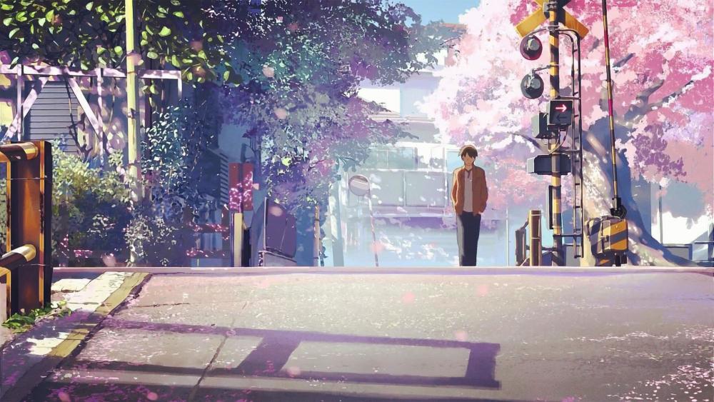 秒速五厘米 腾讯网