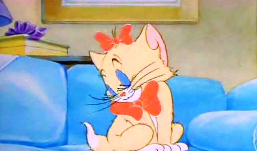 猫和老鼠:汤姆猫的"情史"!那些年,汤姆喜欢过的猫!