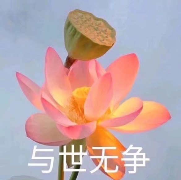 做一朵与世无争的荷花好吗