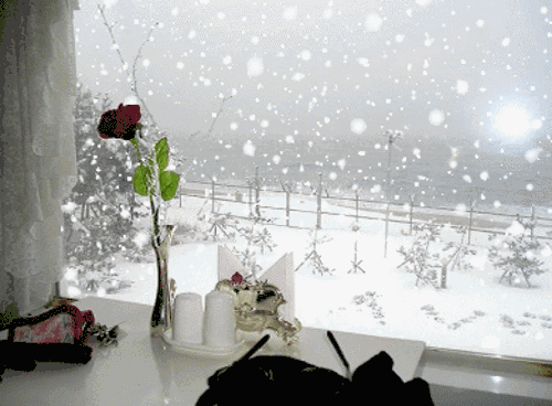 【春雪】