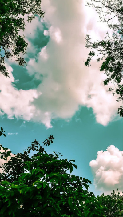 学生党最喜欢的