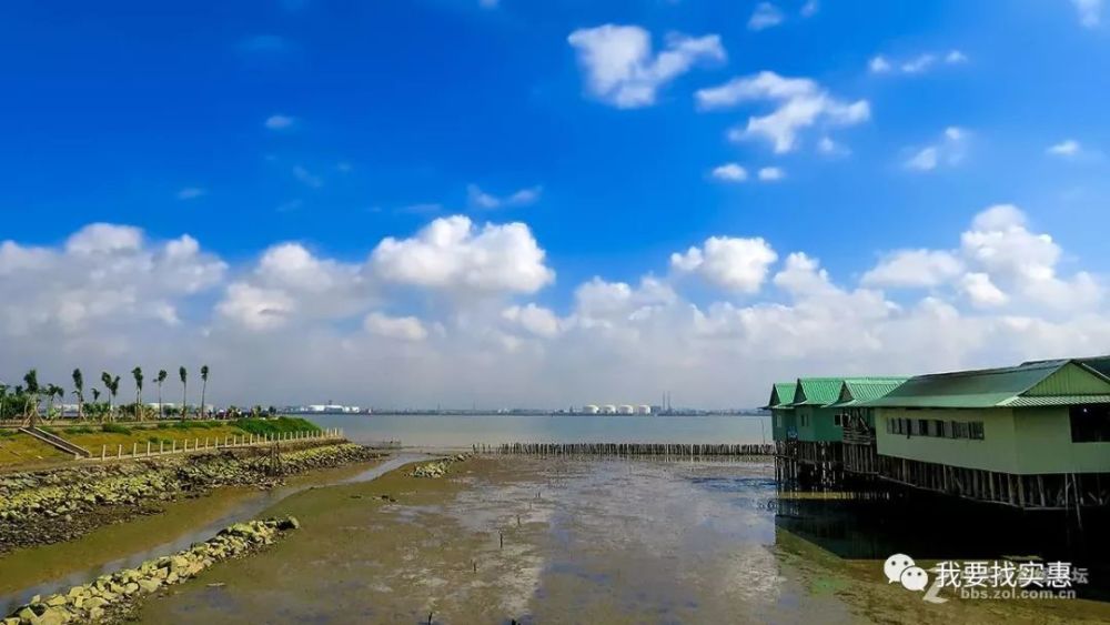 红树林: 好了,图了不说了,直接说吃的,海鸥岛旁边农庄很多,吃海鲜的