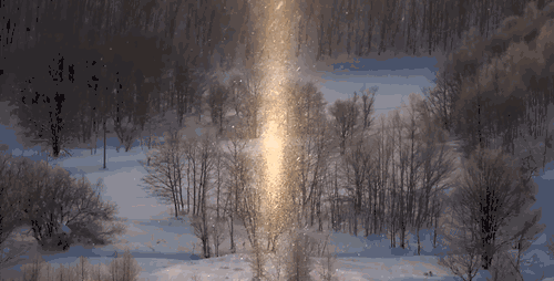 500_254gif 动态图 动图