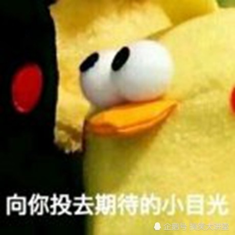 她给我发来这样的表情,我会很认真的这样回复她:你的期待估计是没希望