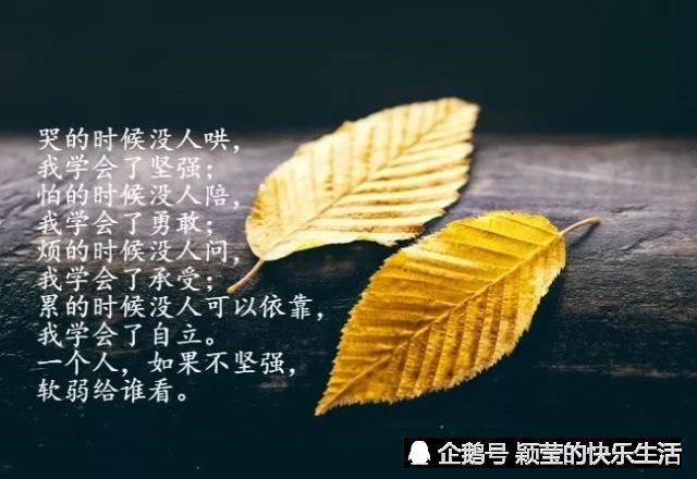 朋友圈走心的心情说说语句 触动人心的说说心情短语