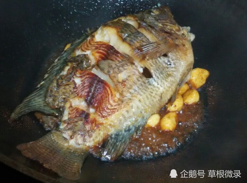 家常菜我最爱,红烧罗非鱼制作过程-天天快报