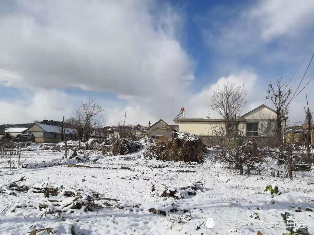 烟台,栖霞,农村,雪景,田园风光