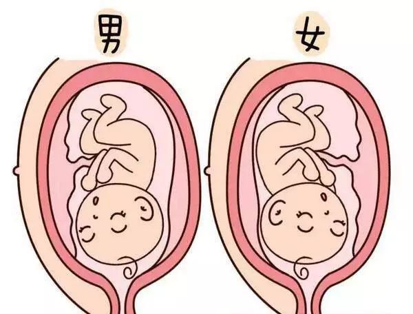 男孩尖女孩圆?这些民间流传的偏方到底靠不靠谱!