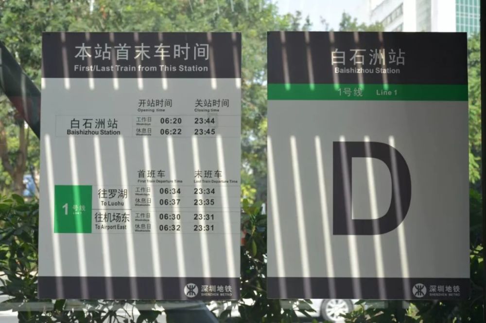 我在深圳的第一站:你好,白石洲!