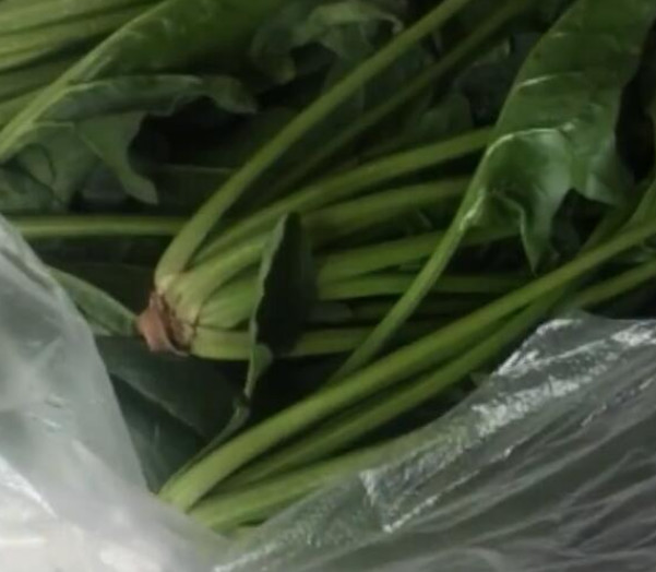 菠菜变蔫后还在吃,还有好些人不知道,看看正确答案吧