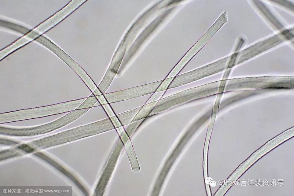 从上到下分别是棉,涤纶,羊毛纤维在显微镜下的外观形态