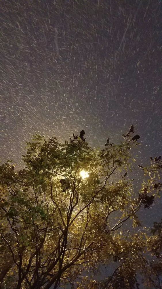 雪花片片飘落在甬城的角角落落 所有的色彩愈发显得娇艳起来