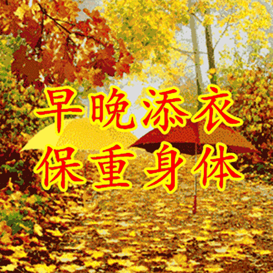 早晨问候语 祝福图片带字的图 早安正能量