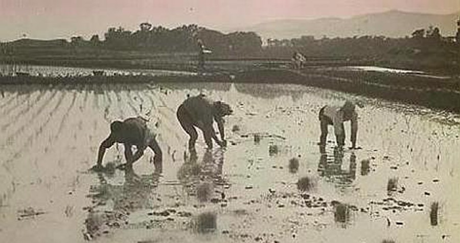 100年前中国社会珍贵老照片,还原真实旧社会