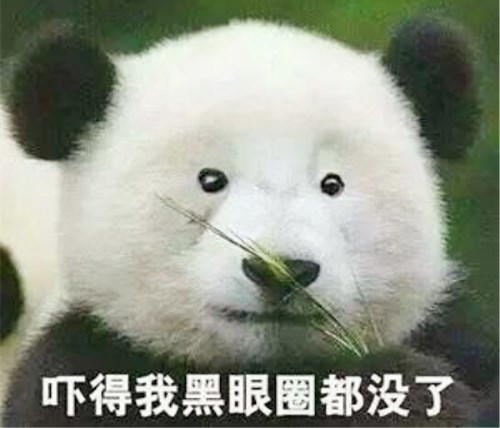 熊猫睡觉被吵醒后,突然表情凶狠露出獠牙,网友:终于露出真面目