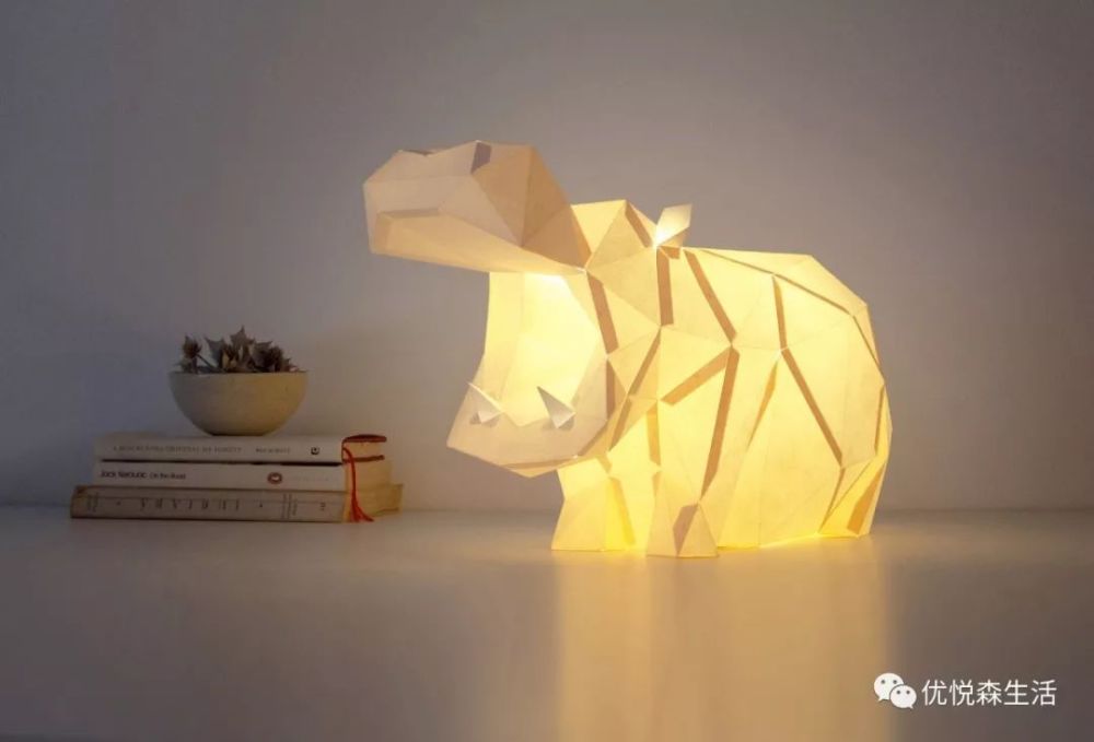 它们设计的纸灯,都是各种野生动物的形象.