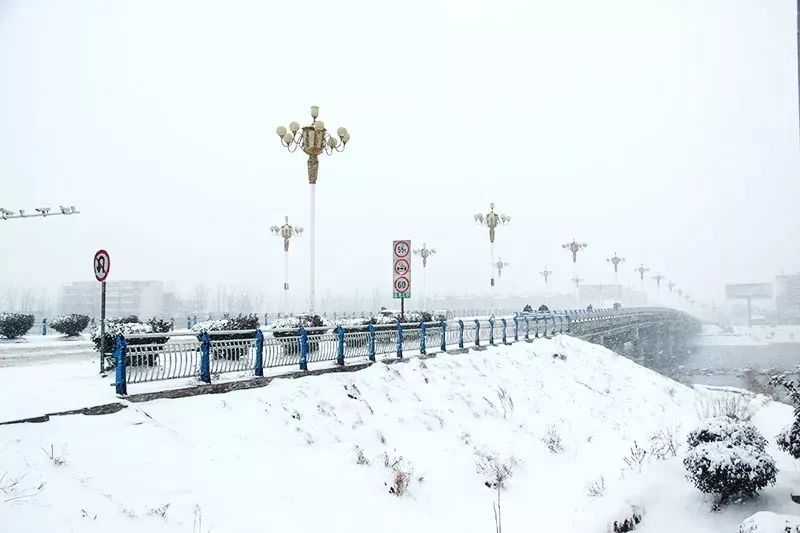 下雪了 大临泉下雪了 预报了这么长时间的下雪 这次竟然真的下了 天气