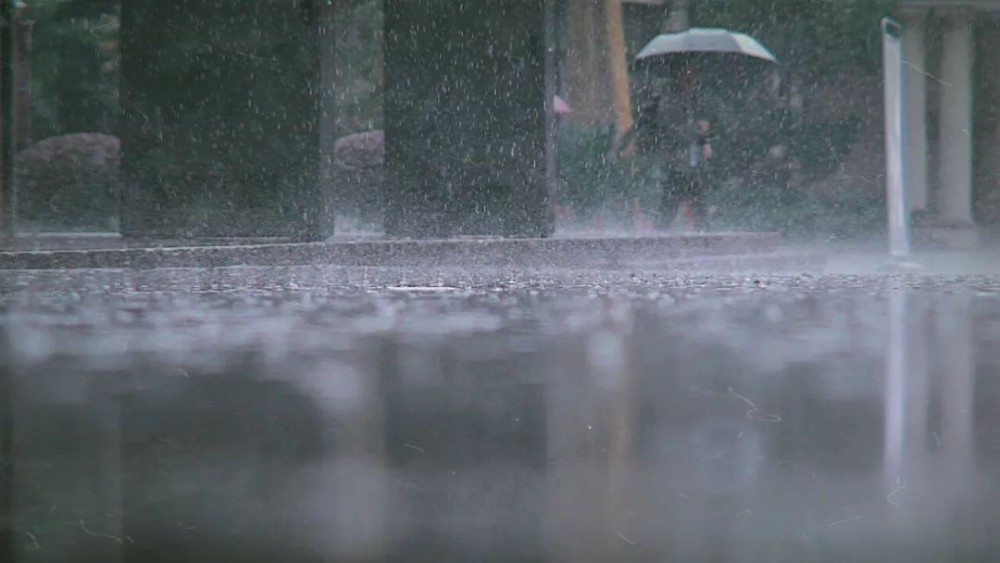 雨中的校园原来这么美!沪上25所高校的雨景图,哪个最浪漫?