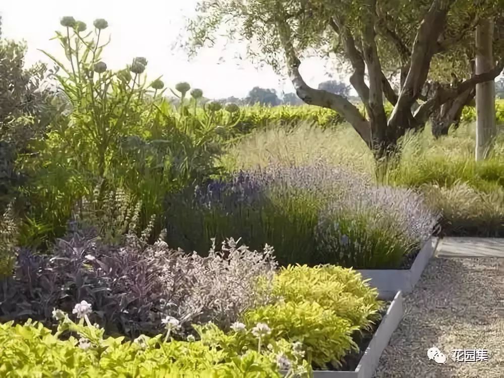 居住区植物配置特点