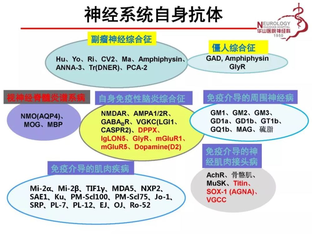 神经系统自身抗体检测前路几何 听听专家怎么说 看点快报