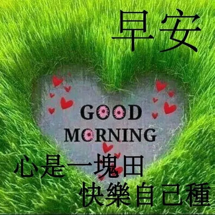 冬天早上好问候语温馨 早上好图片大全带字