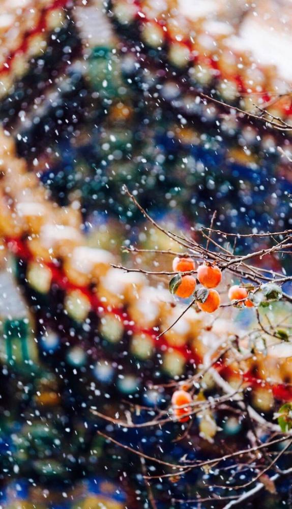 冬日·浪漫雪景壁纸:纯洁的雪,终究是白了我的整个世界