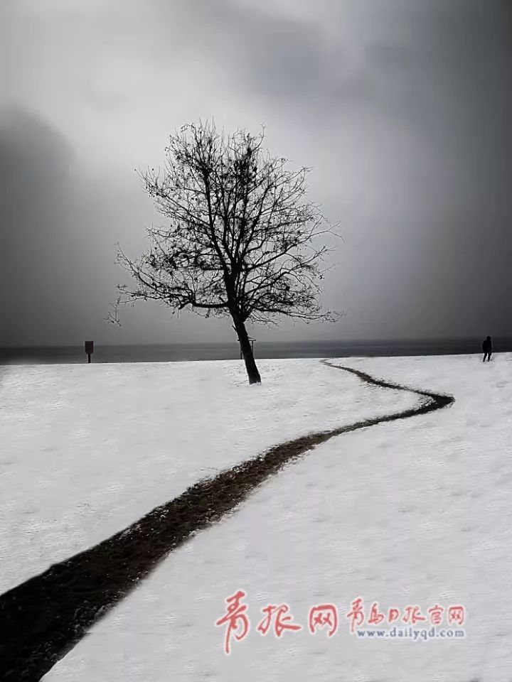 震撼雪景图来了!雪后青岛美得不像话!