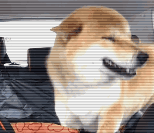 移动的表情包——柴犬