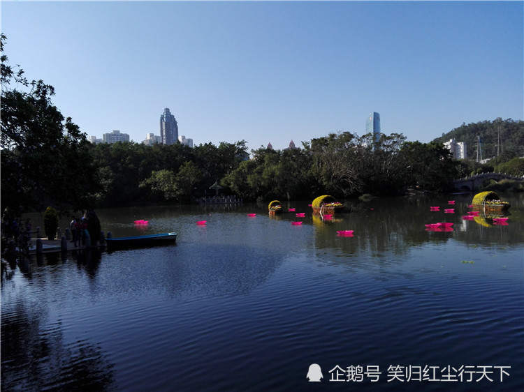 深圳东湖公园最美的当属这片狭长的湖水,倒映着绿树蓝天