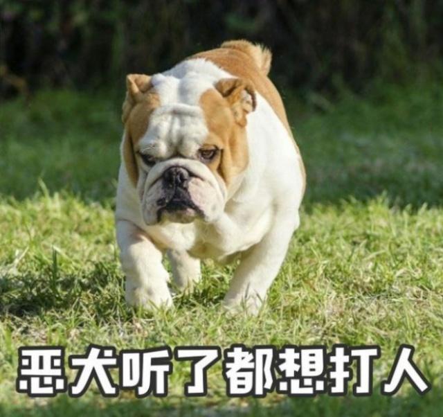 花粥,笑容,方文山,抖音,小奶狗