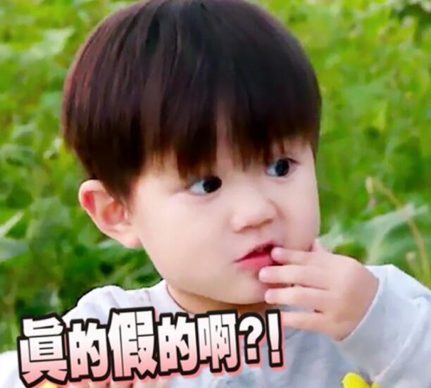 搞笑·励志表情包:假如生活欺骗了你,下次要提