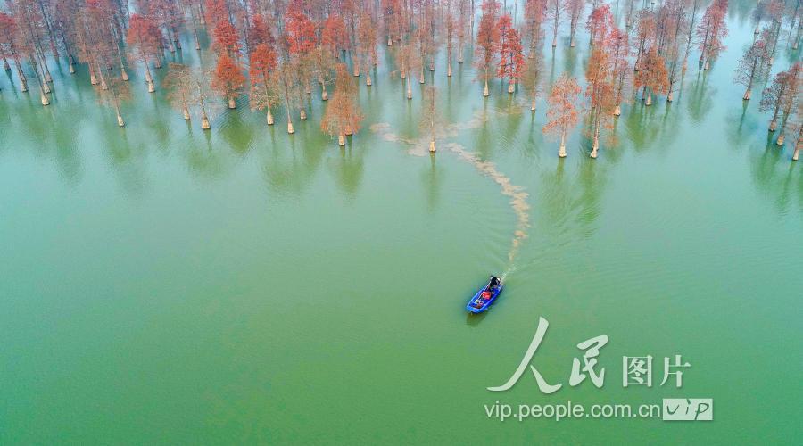 2018年12月12日,航拍的 "生态名片"大汉塘水库景色.