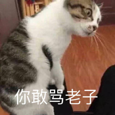 沙雕·表情包:每一张都是"沙雕"网友的创意,最后两个笑skr