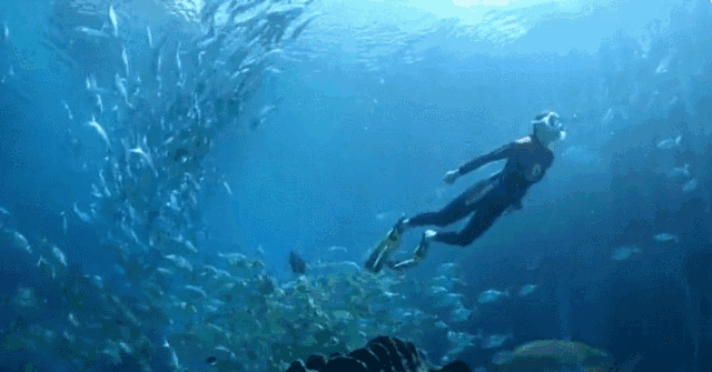 你这么胖,一定不是玩潜水的