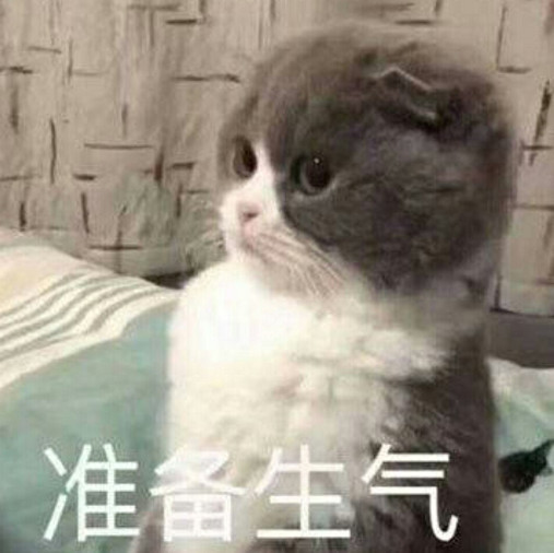 超萌·搞怪·表情包:不要对我生气,小心用我无辜的小眼神来看你