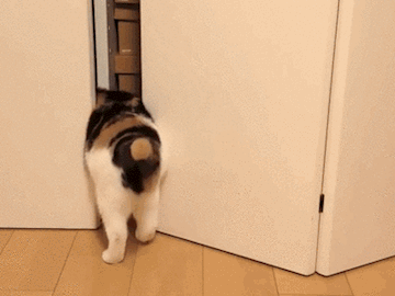 搞笑gif:妹子该生个孩子了,别为难人家奶牛了,都挺不容易的