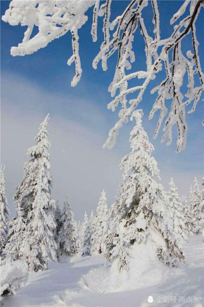 好一场美丽的雪好一个瑞雪兆丰年