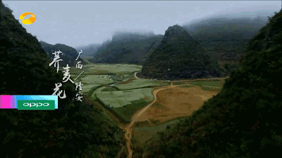 县的一块净土 更望湖更是获得了壮乡