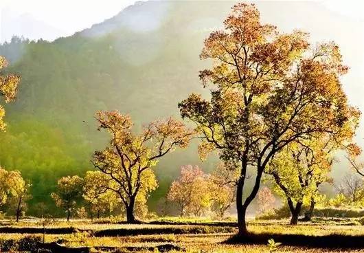 不必黄鹤楼，不必武大樱花，湖北这25处美景地，你去过多少？