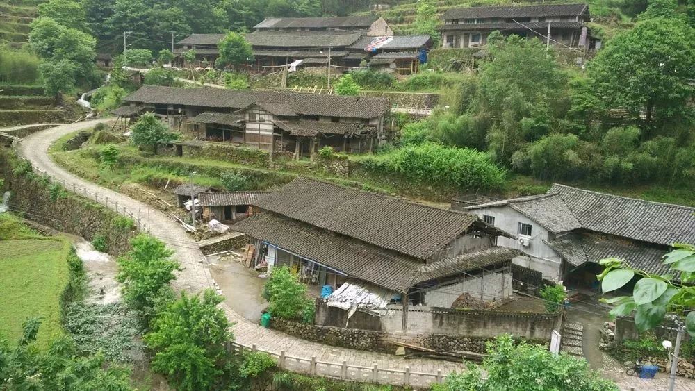 永嘉县岩坦镇屿北村 温州市泰顺县泗溪镇下桥村 温州市瑞安市湖岭镇