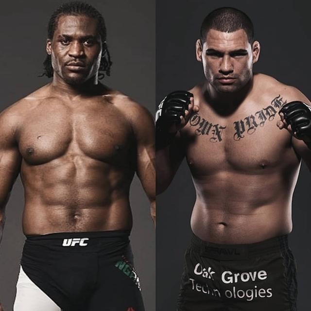 冠军,多斯桑托斯,布洛克莱斯纳,ufc