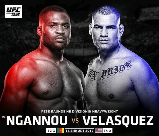 冠军,多斯桑托斯,布洛克莱斯纳,ufc