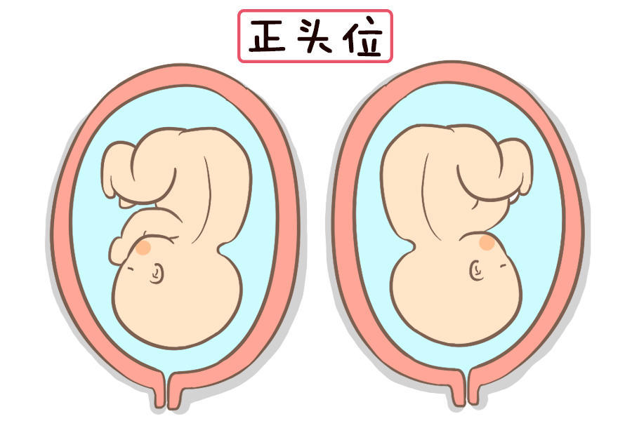 怀孕后,"胎位"基本上都会在这个月固定,想顺产的孕妈要早知道