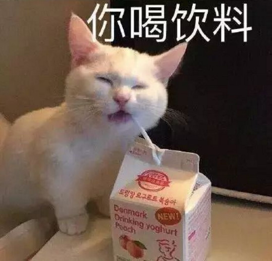 猫咪,可乐,吸管