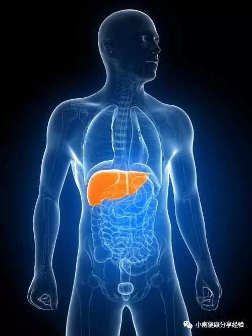 正常情况下肝脏不会出现不适感和疼痛感,如果有长期饮酒等习惯,使肝