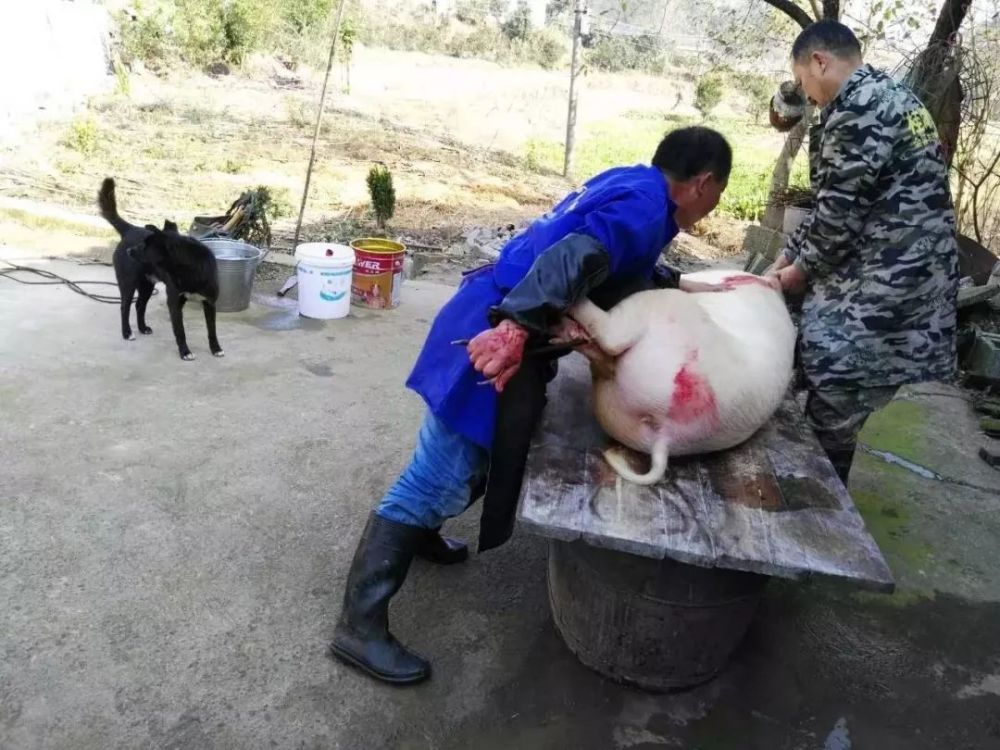 在石门,有一种乡愁,叫"杀猪饭"